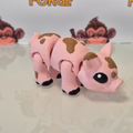 Pig Muddy
