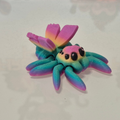 Fairy Rainbow Spider