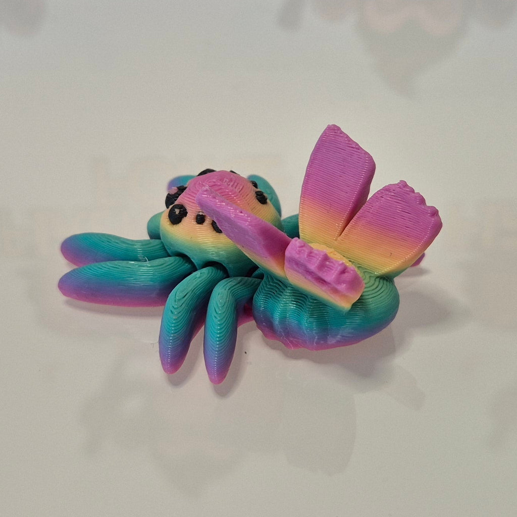 Fairy Rainbow Spider