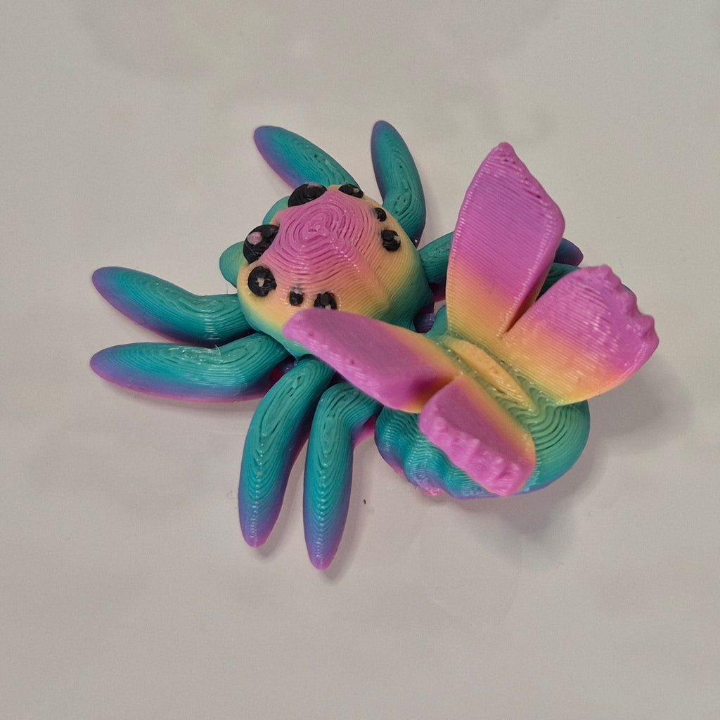 Fairy Rainbow Spider