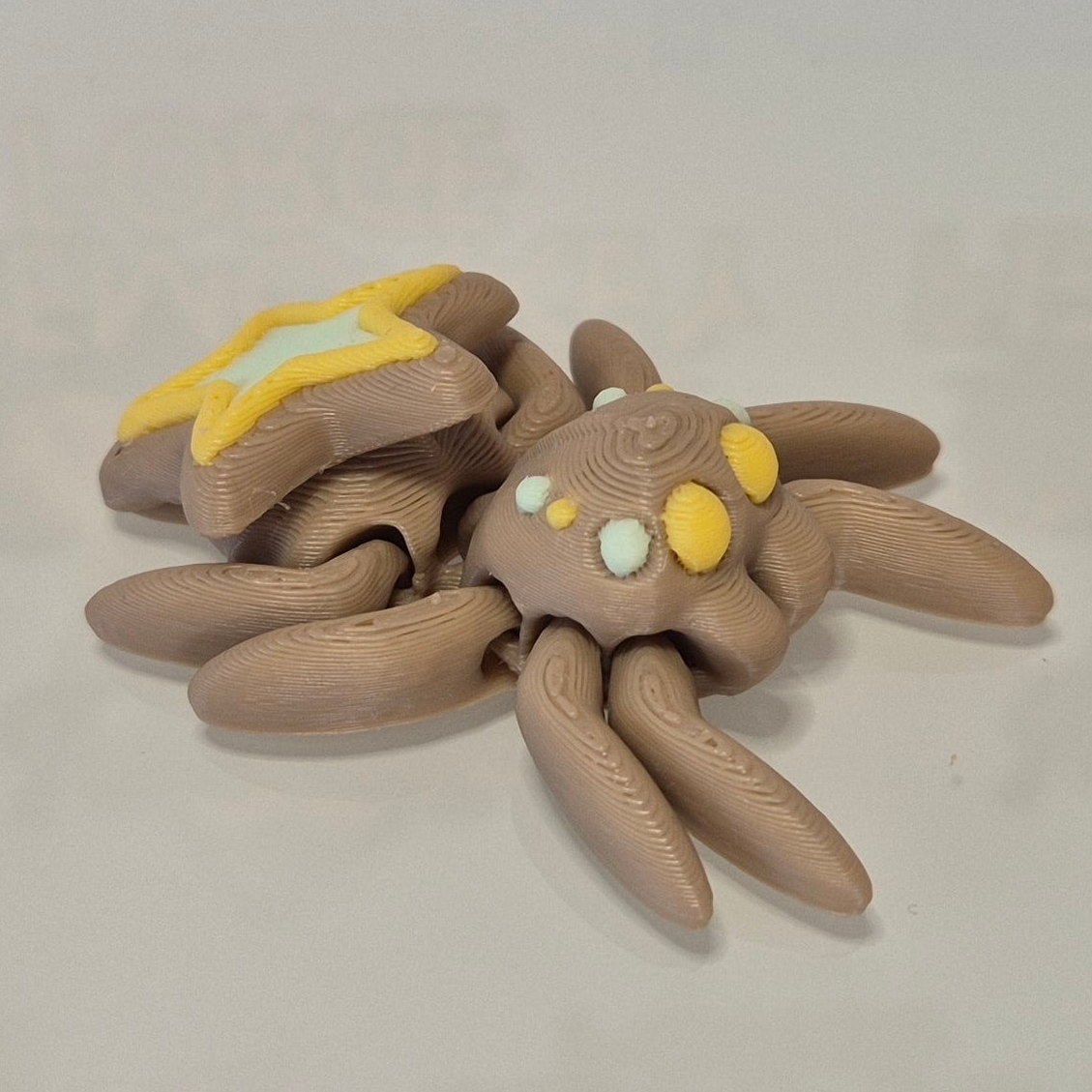 Cookie Star Spider