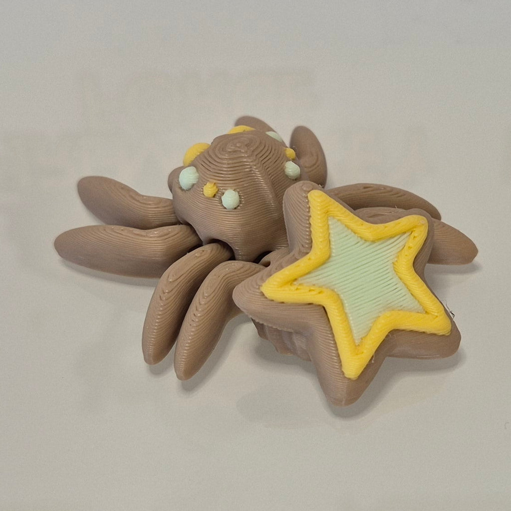 Cookie Star Spider