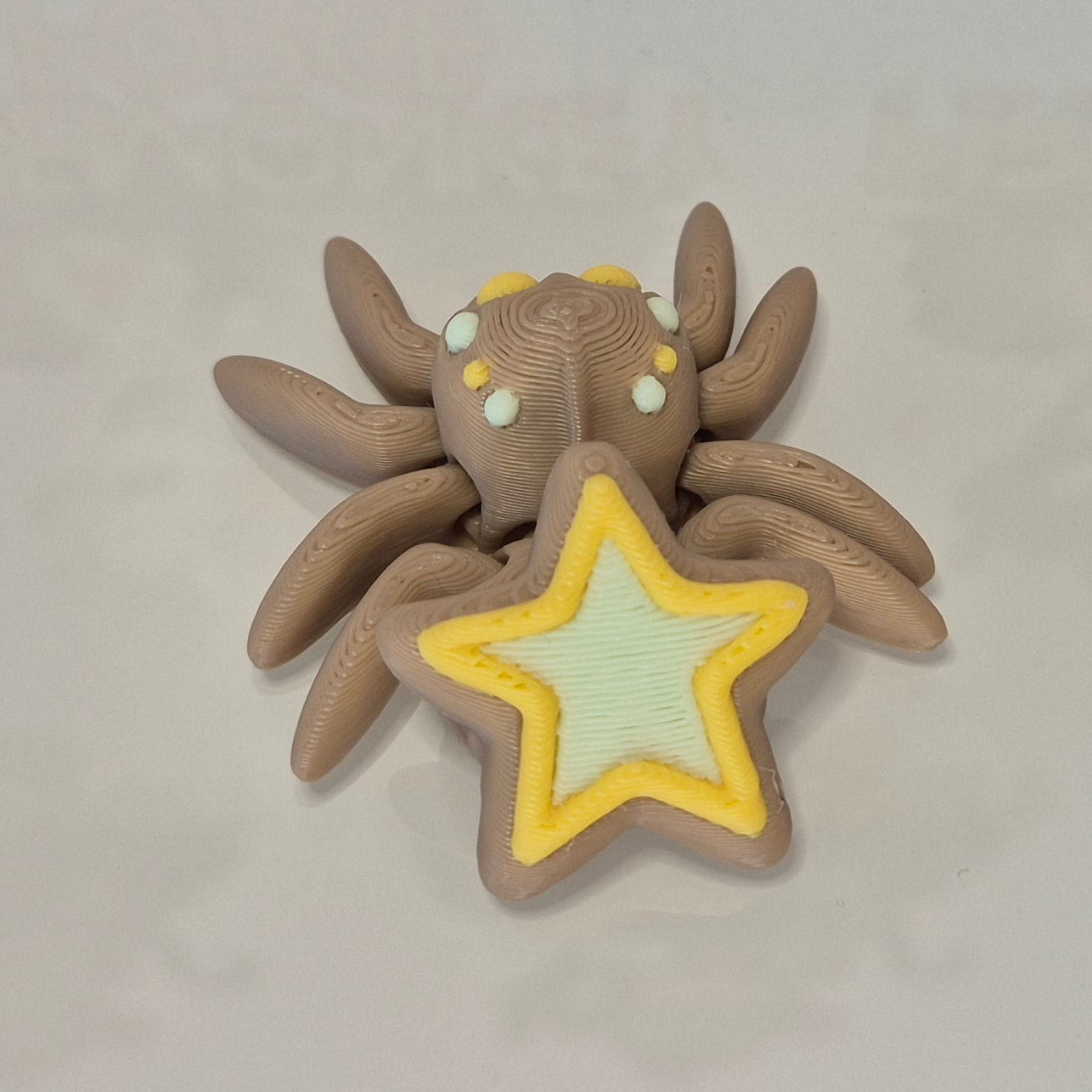 Cookie Star Spider