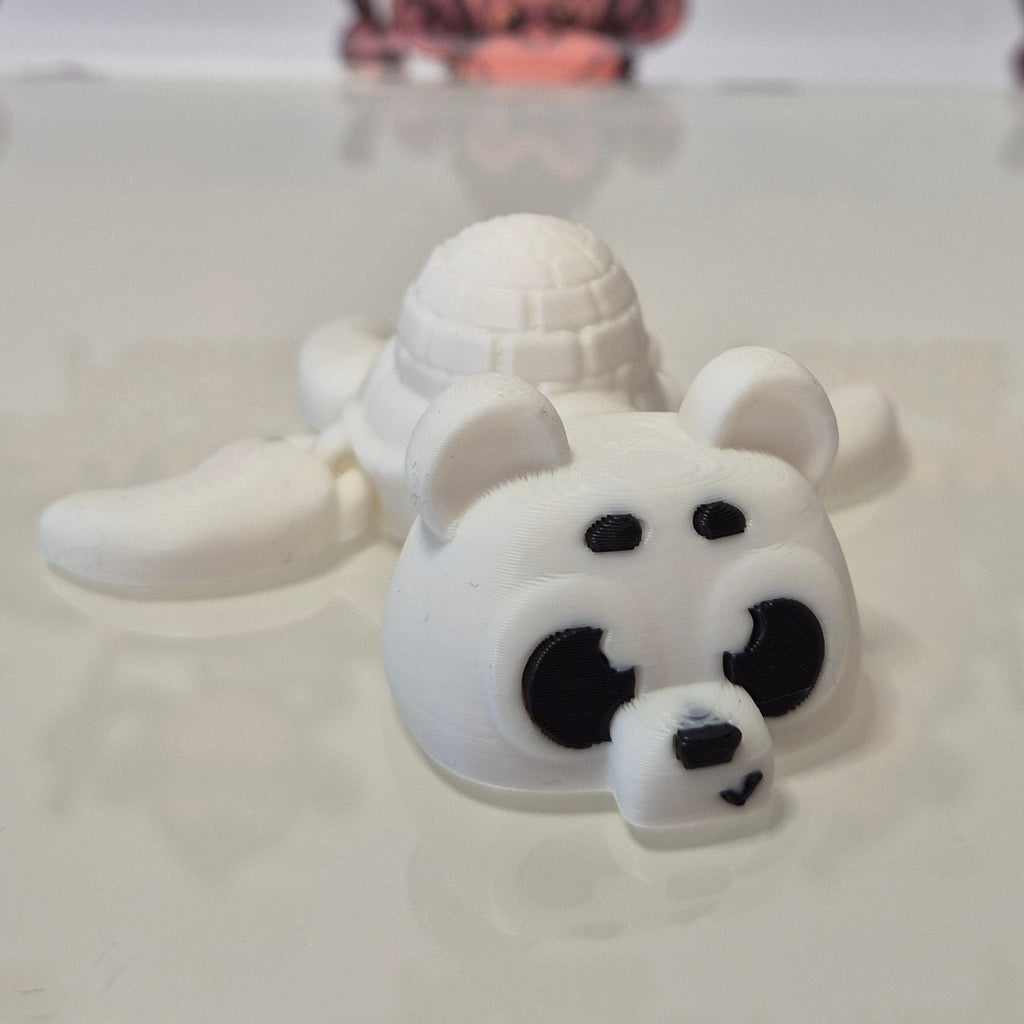 Turtle Polar Bear
