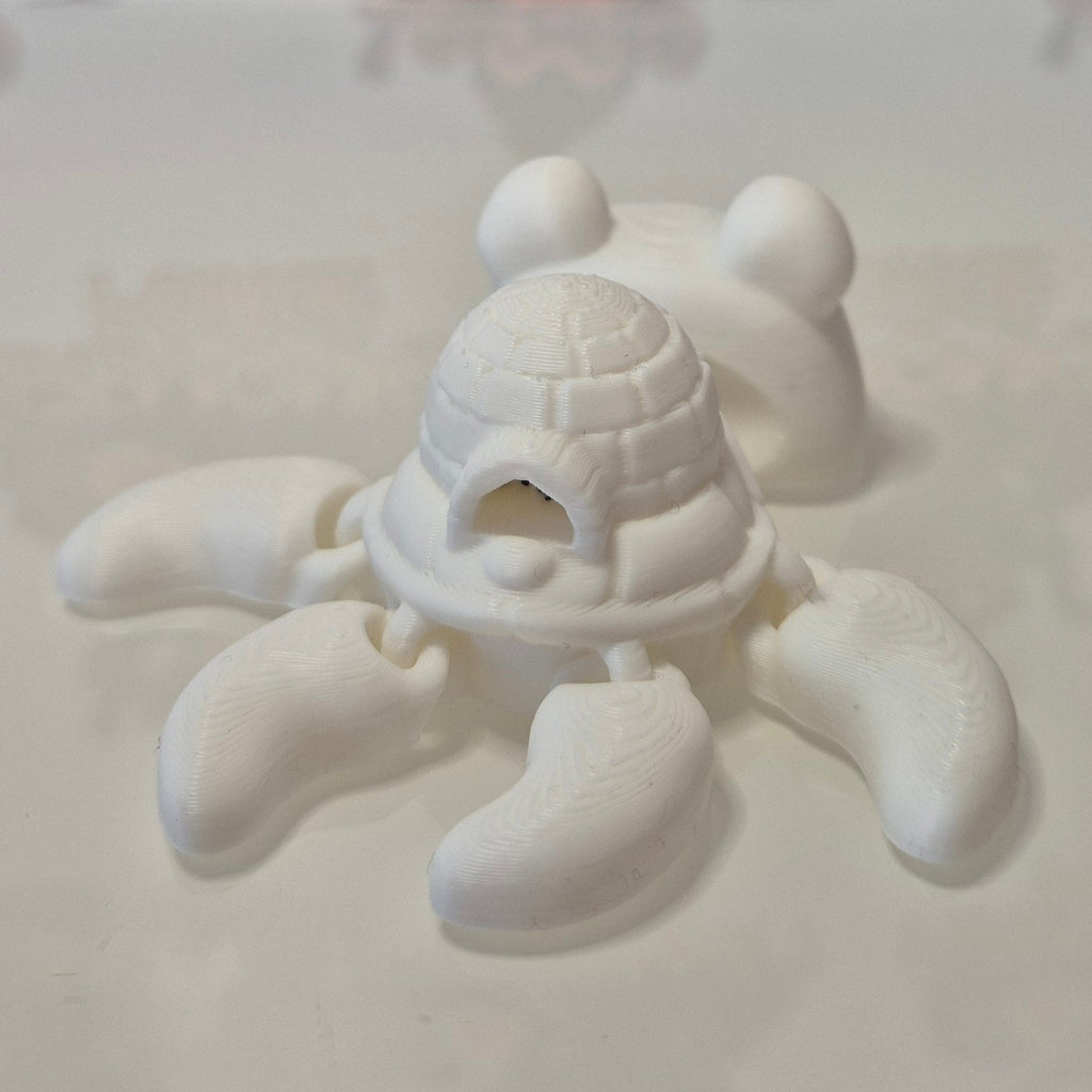 Turtle Polar Bear