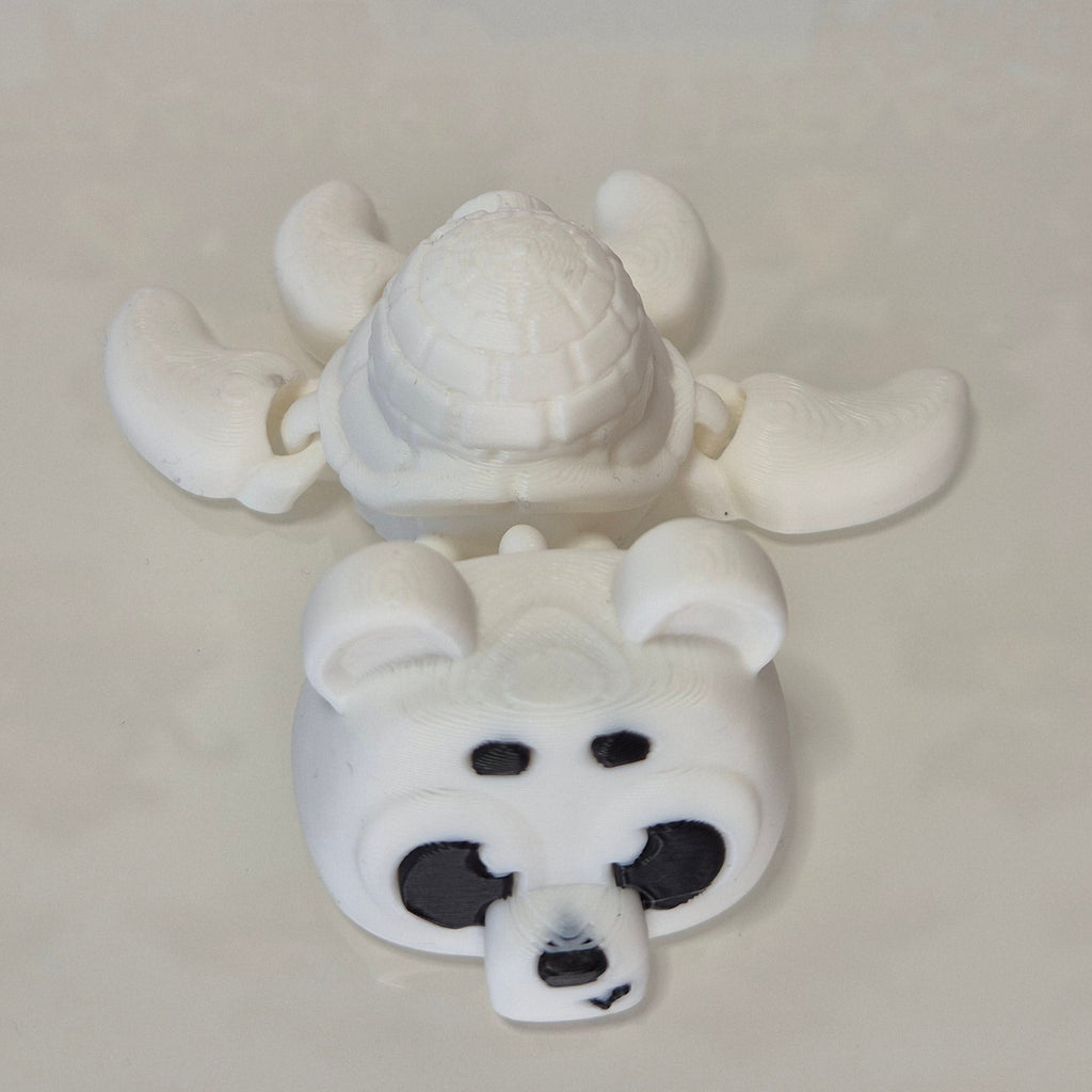 Turtle Polar Bear