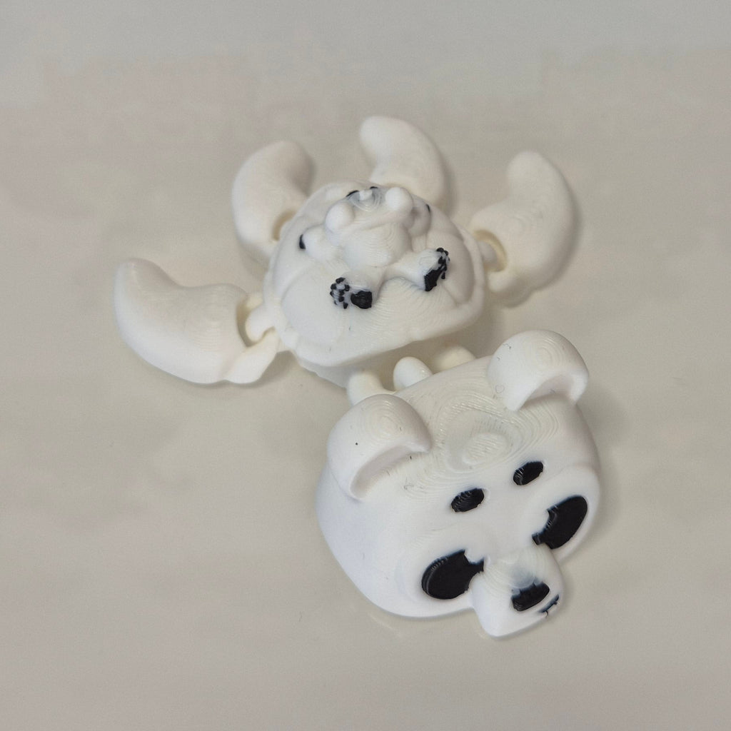 Turtle Polar Bear
