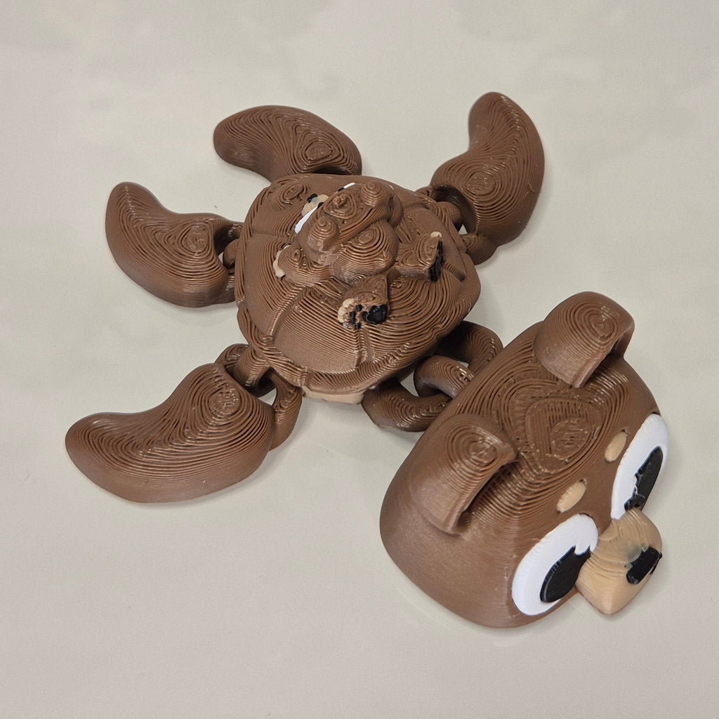 Turtle Brown Bear