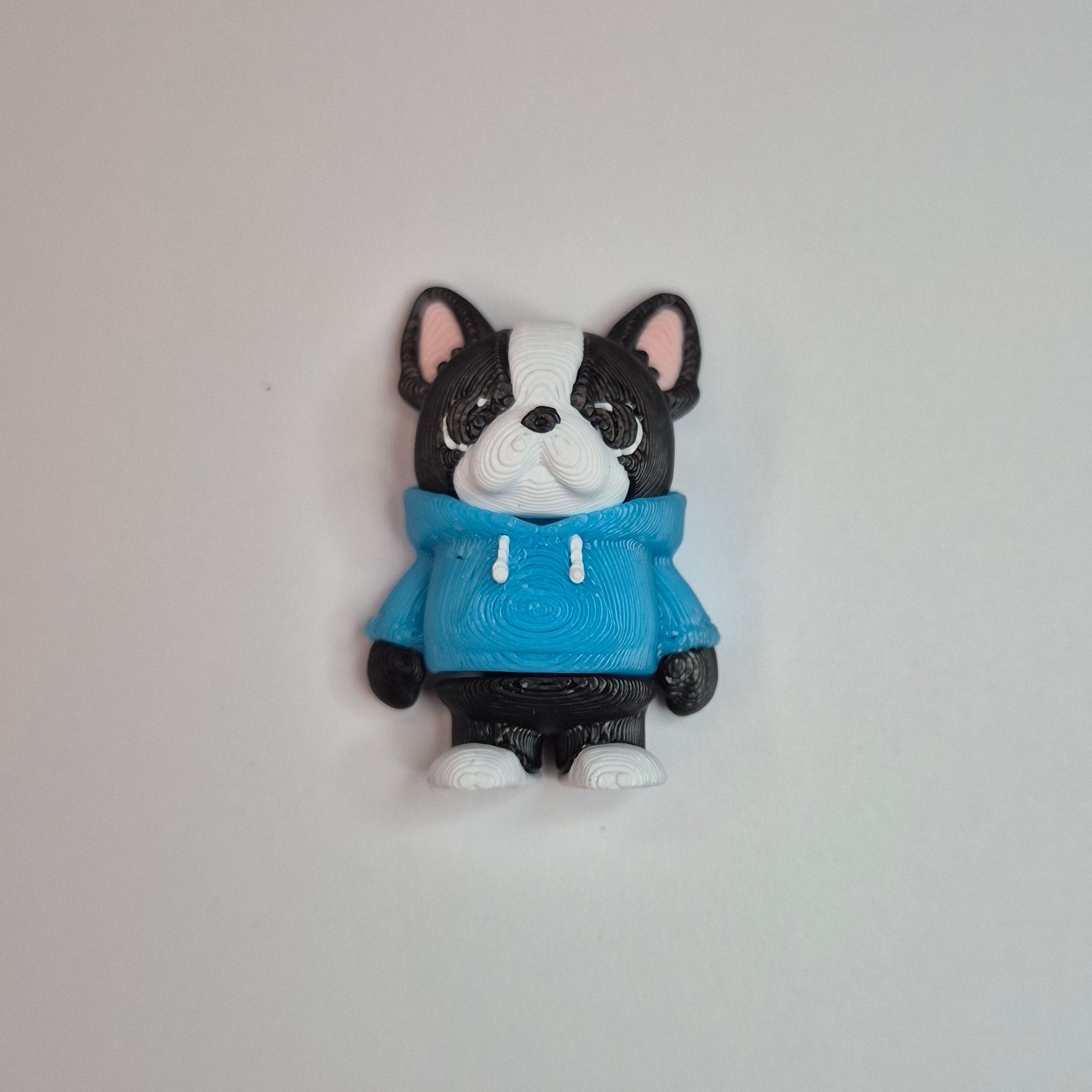 Mini Hoodie Boston Dog