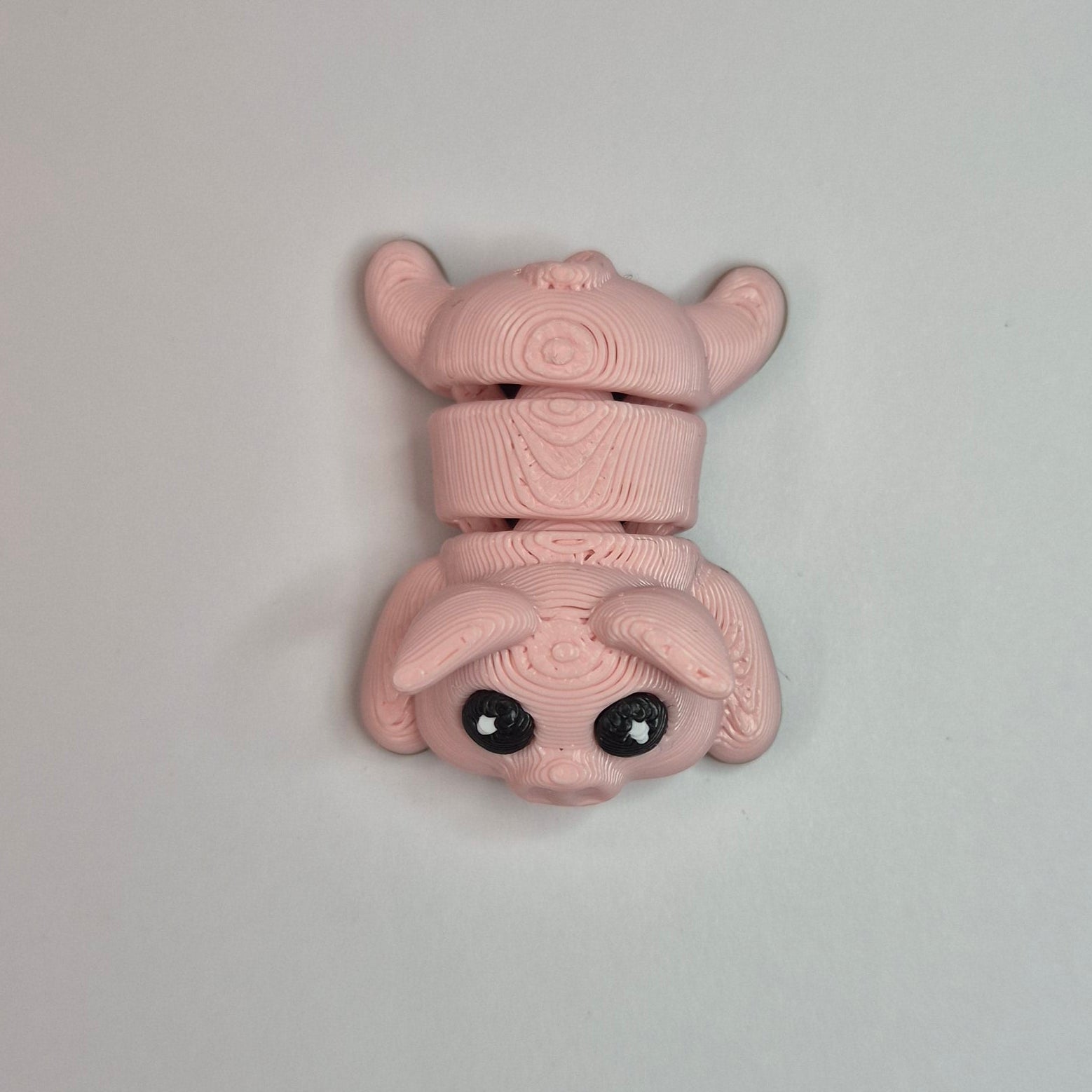 Mini Pig Muddy