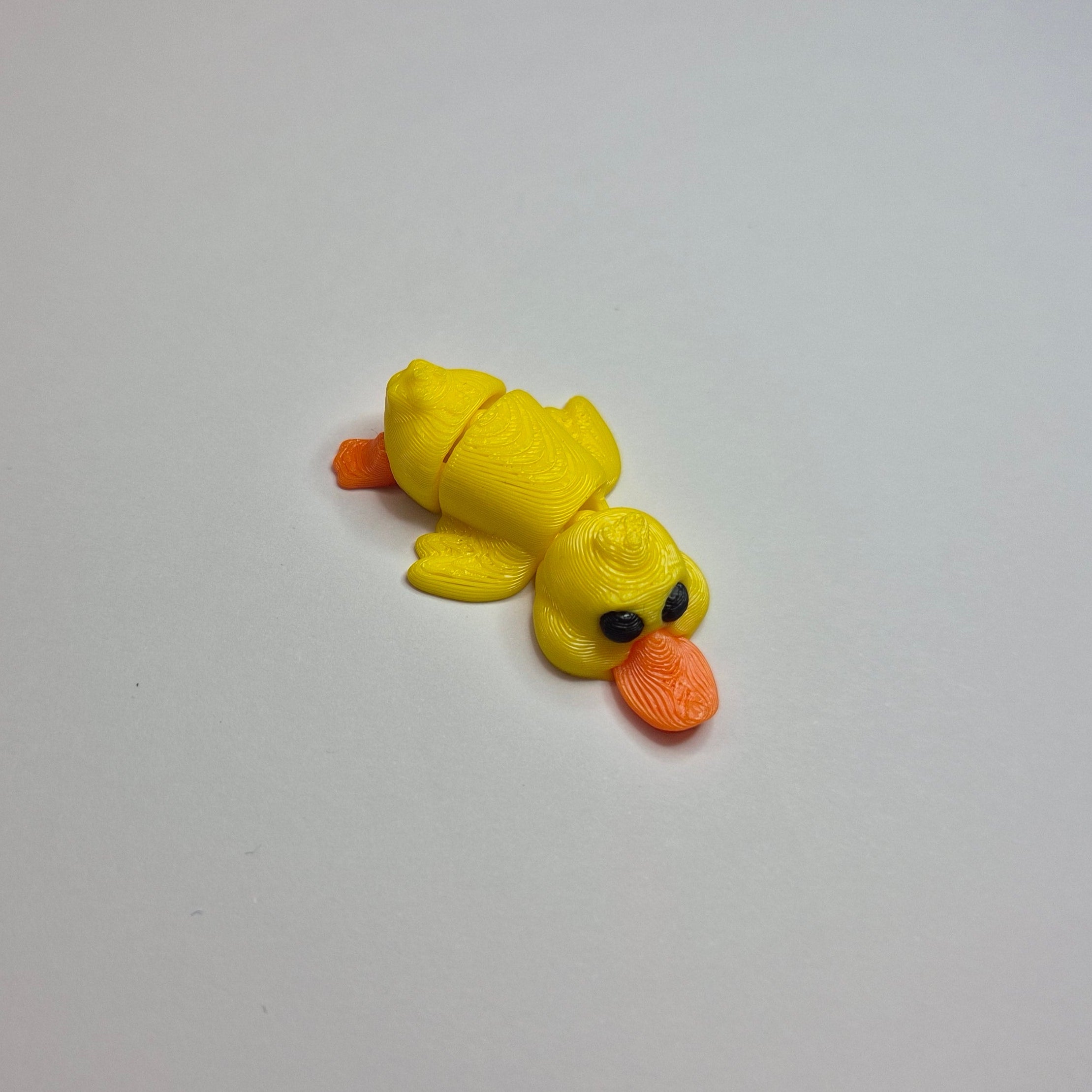 Mini Duck Laying Down