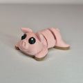 Mini Pig Muddy