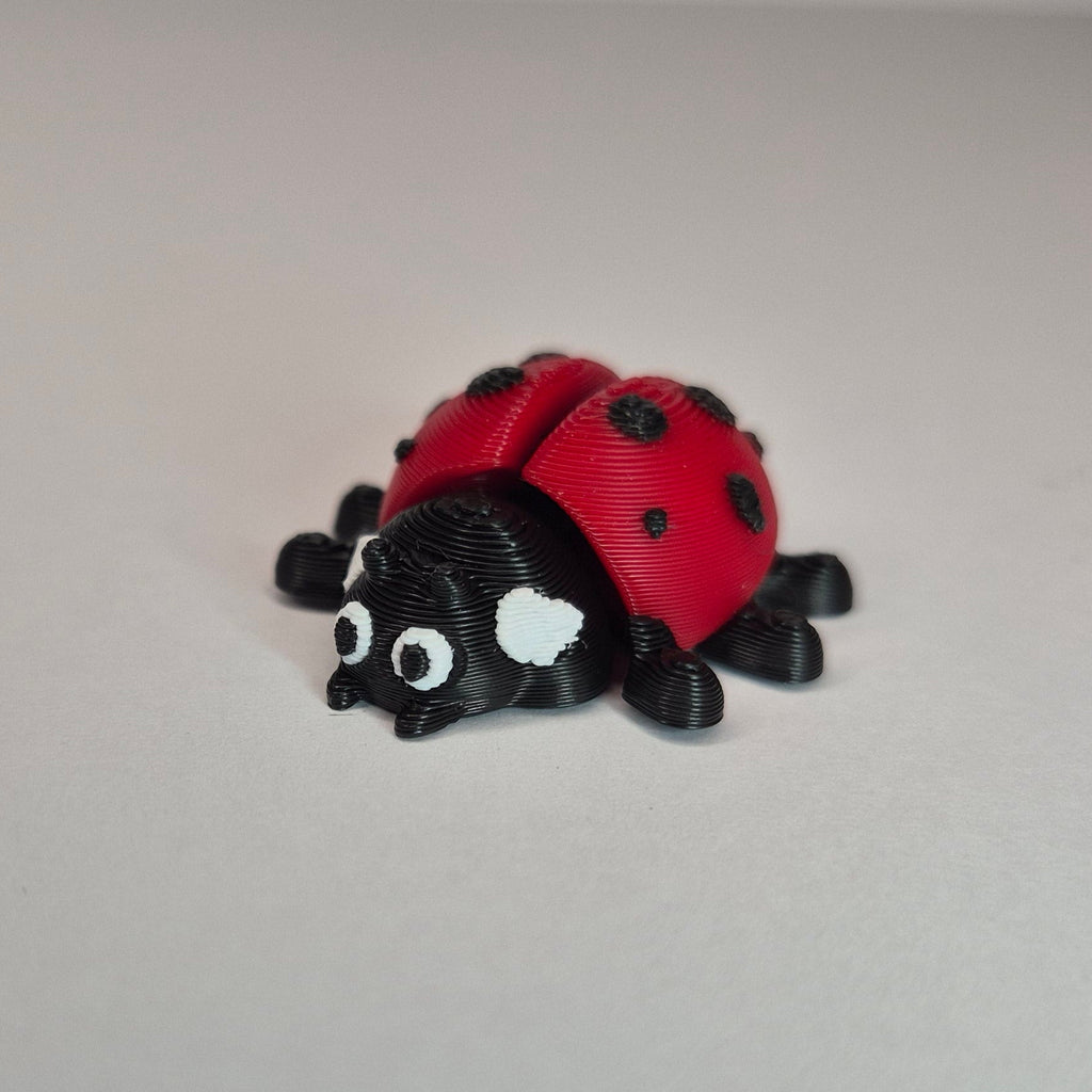 Mini Ladybird Red