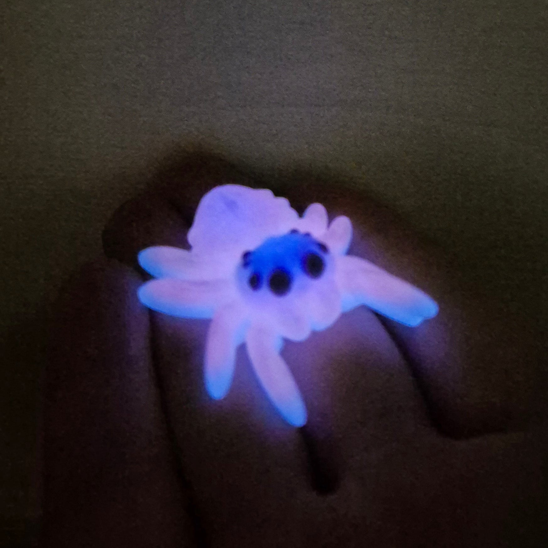 Spider Rainbow Glow