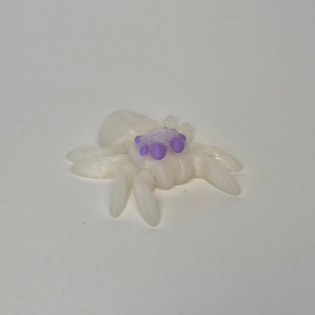 Spider Rainbow Glow