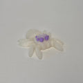 Spider Rainbow Glow