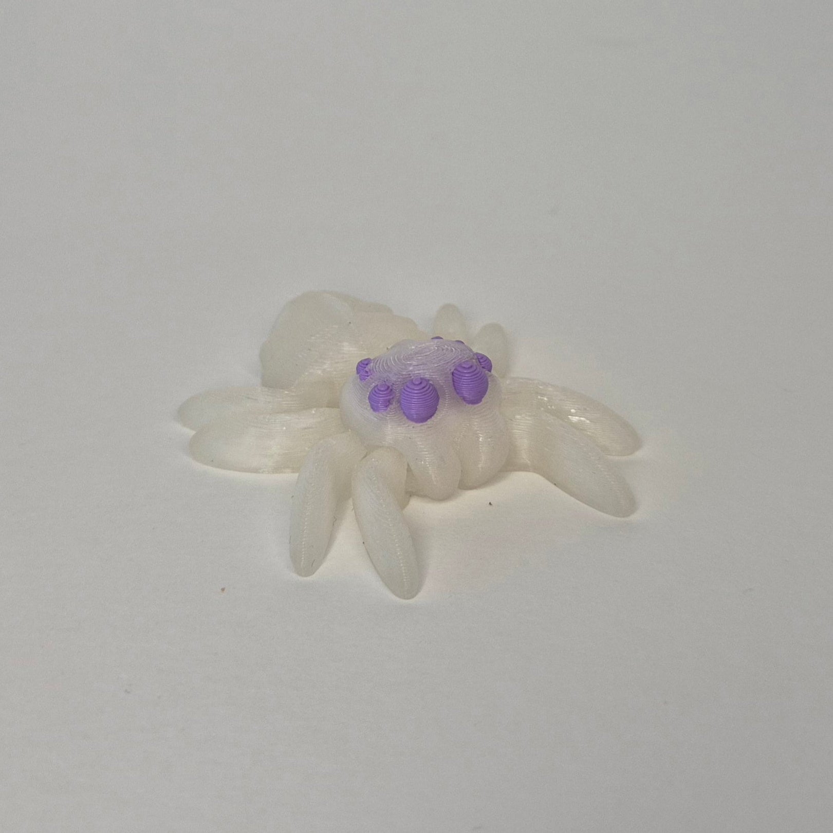 Spider Rainbow Glow