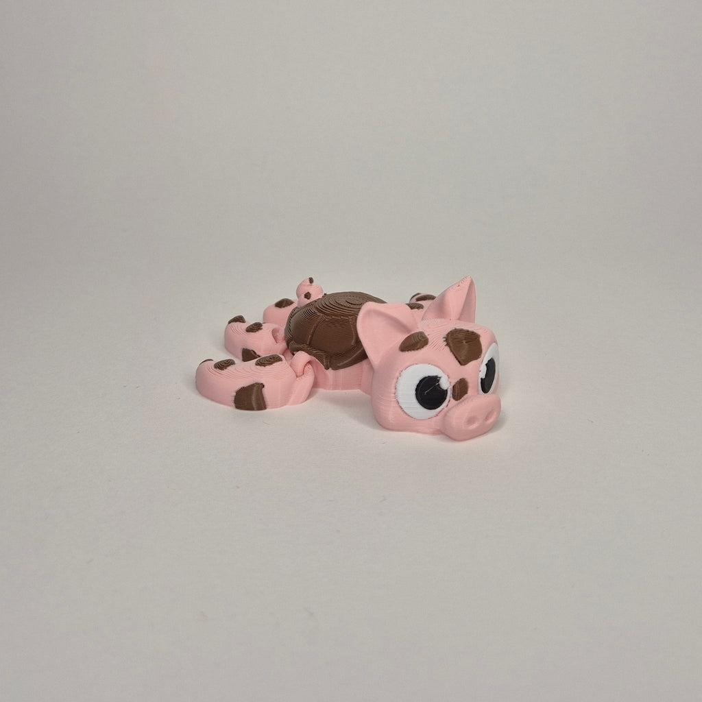 Pig Muddy Turtle