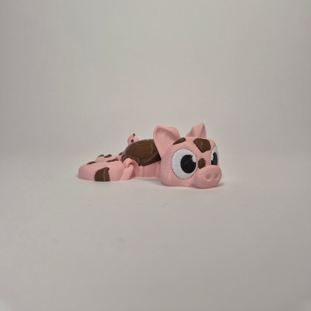 Pig Muddy Turtle