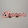 Mini Pig Muddy Dragon