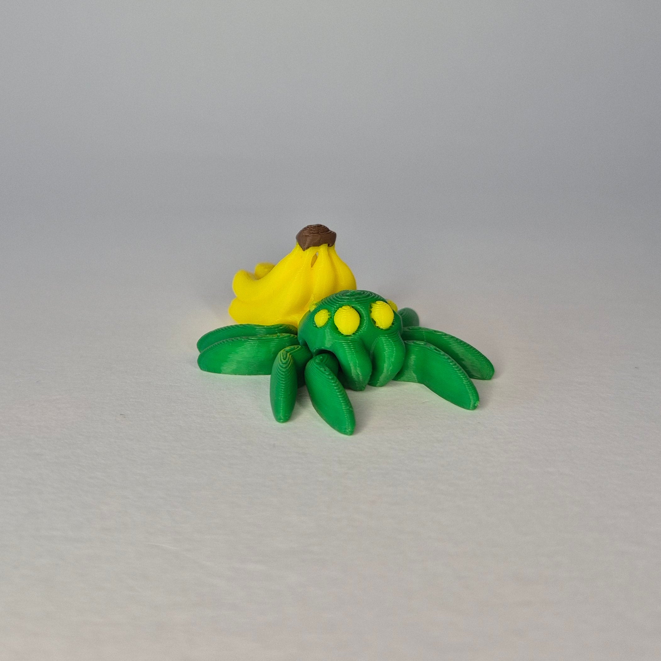 Banana Spider