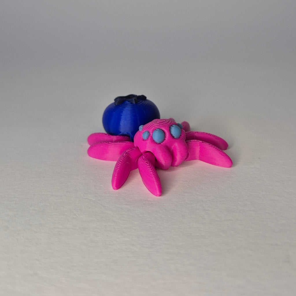 Blueberry Spider