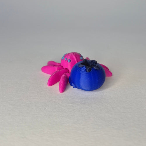 Blueberry Spider