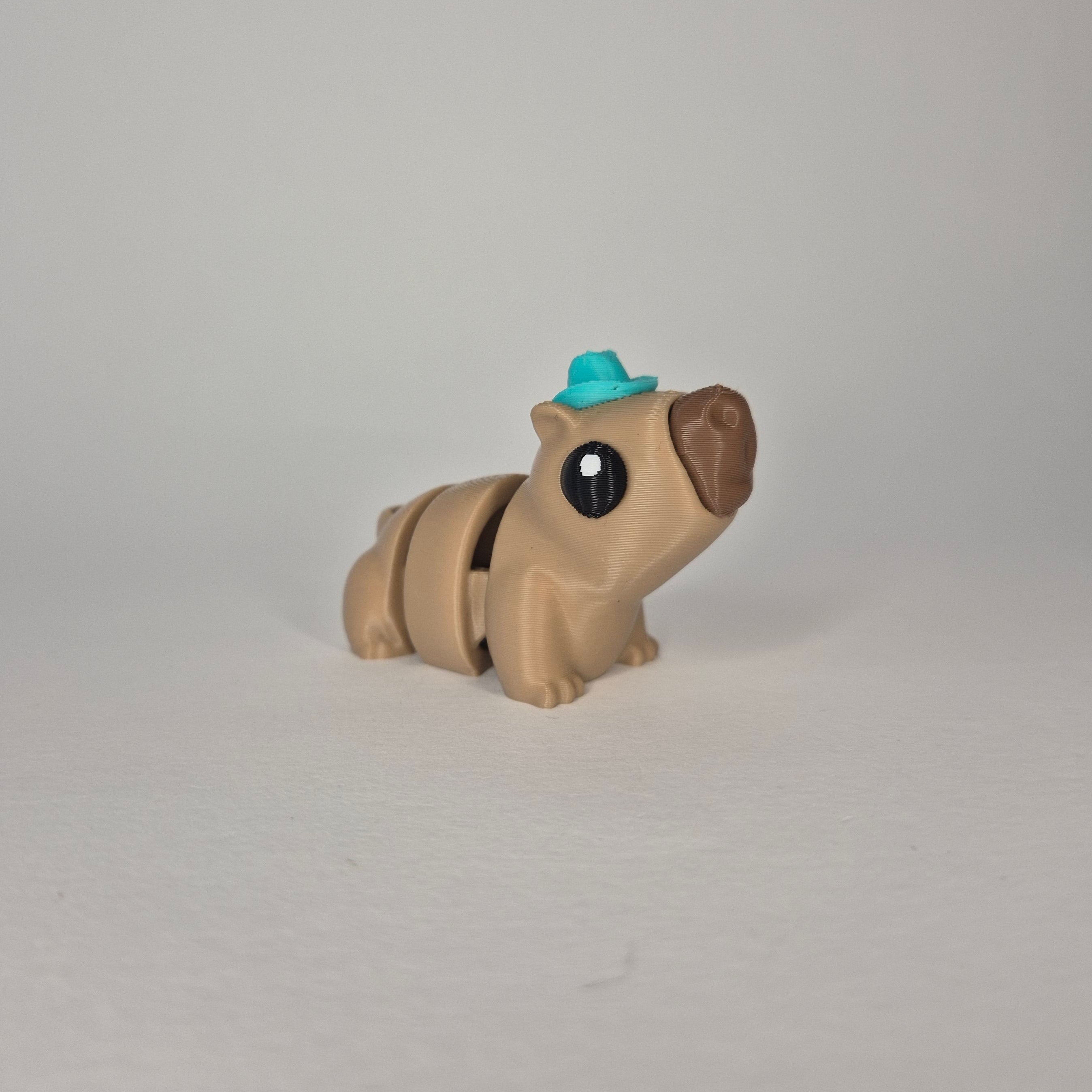 Capybara with a Hat