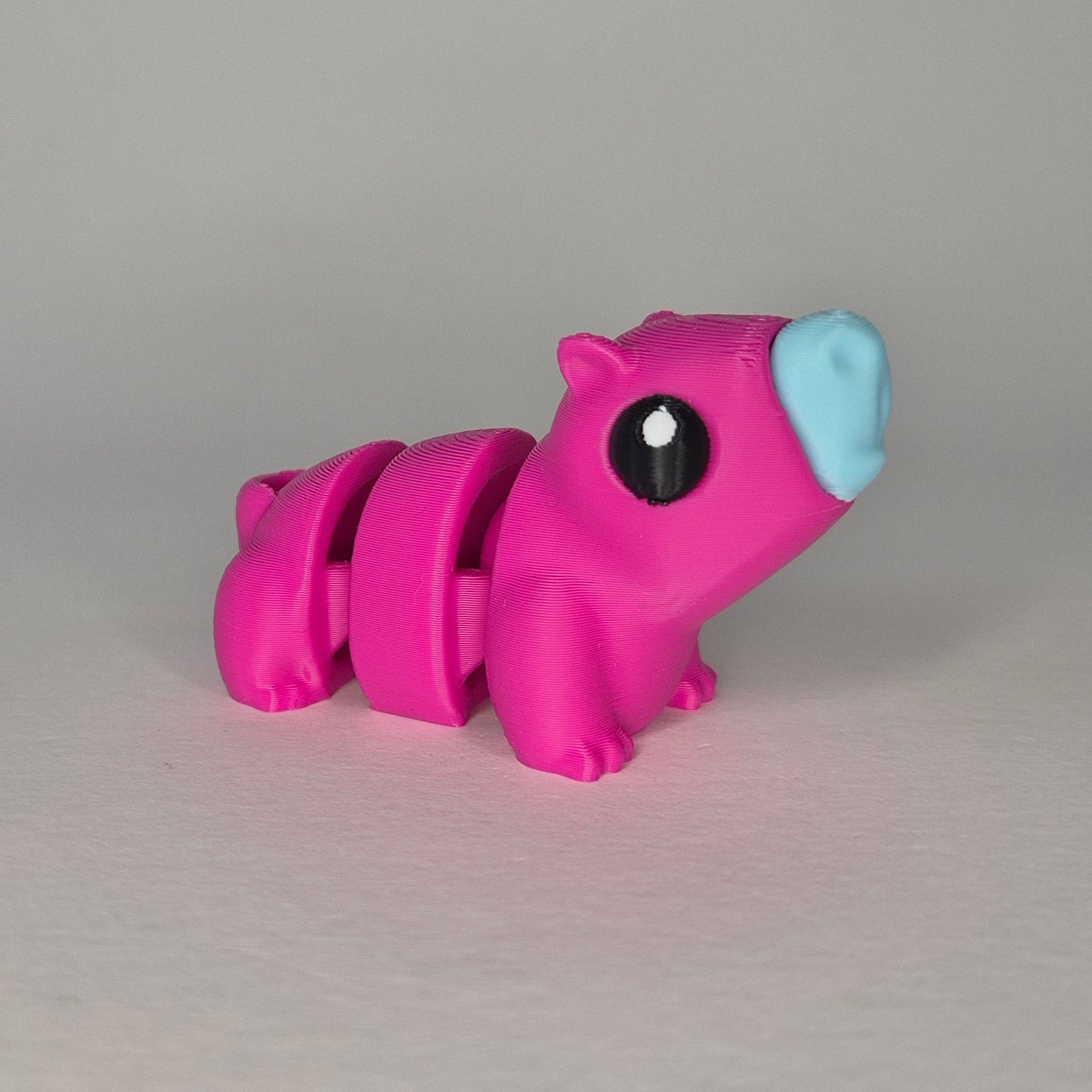 Capybara Pink