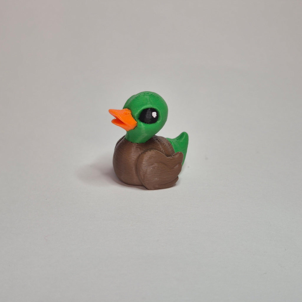 Duck Mallard
