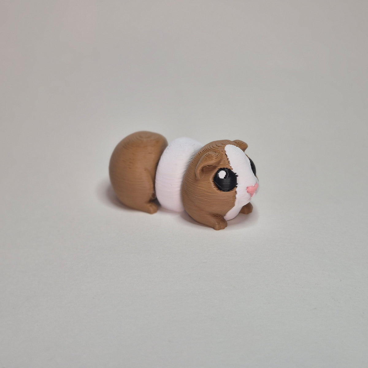 Guinea Pig
