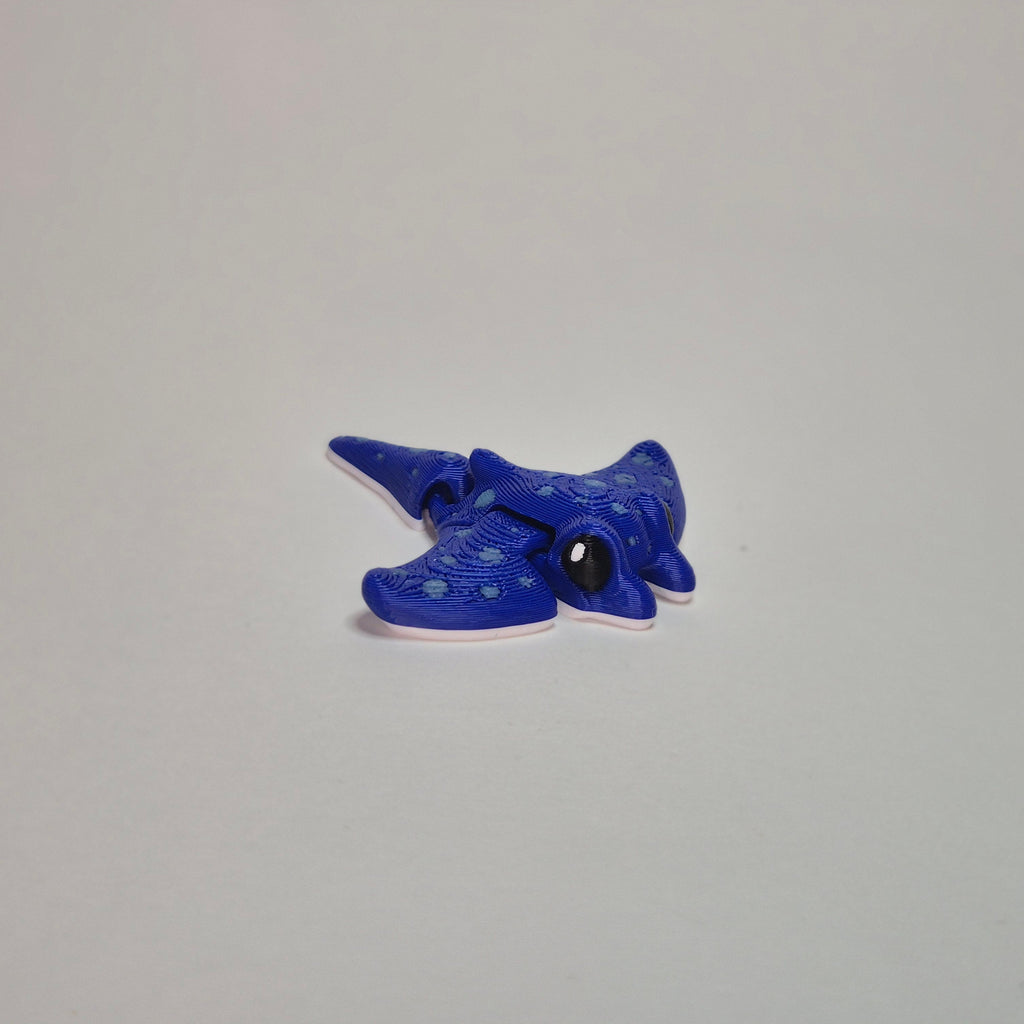 Manta Ray