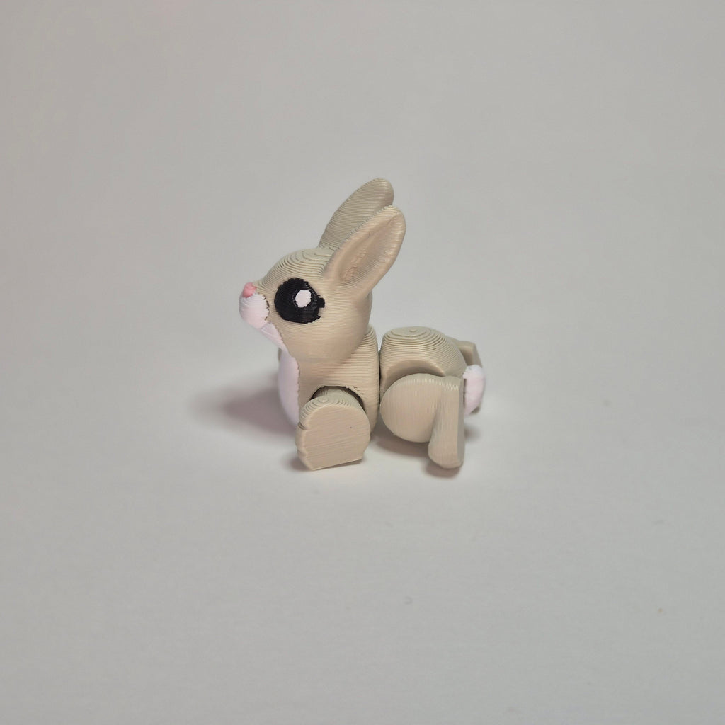 Rabbit