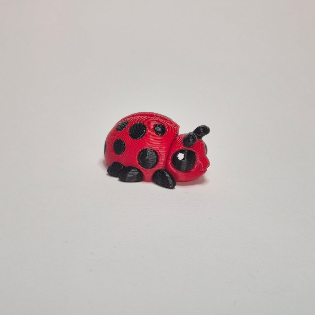 Lady Bird