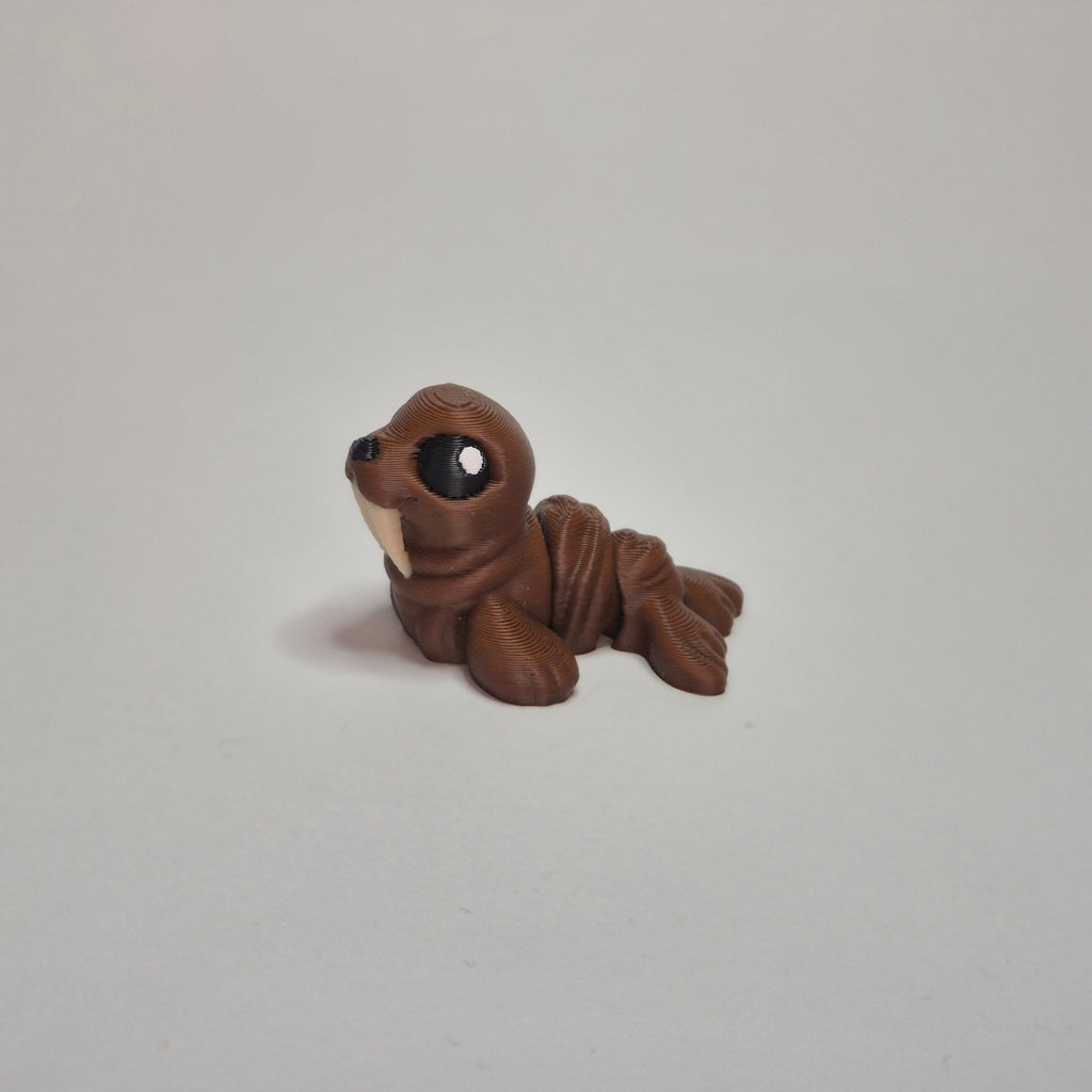 Walrus