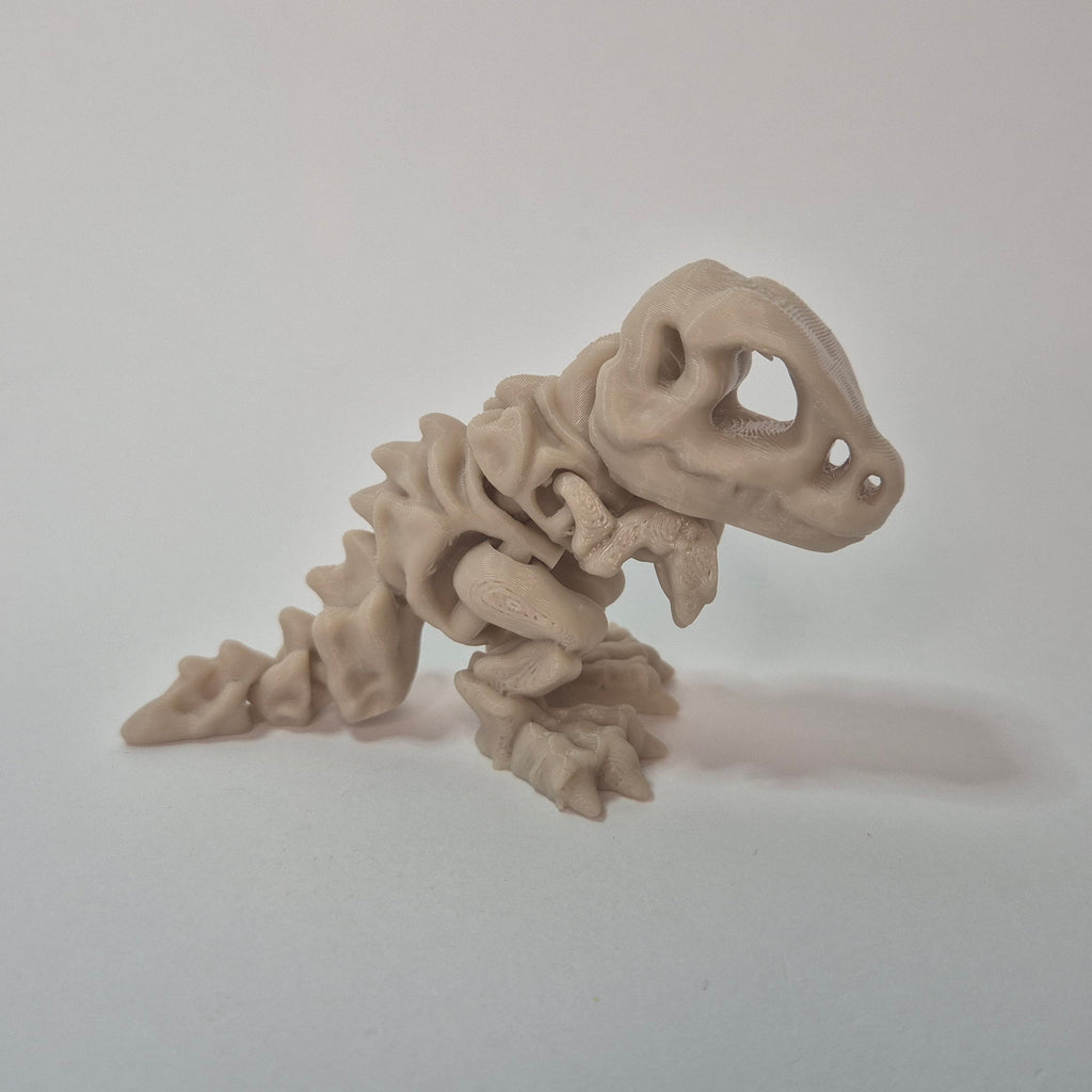 Dino T-rex Skeleton
