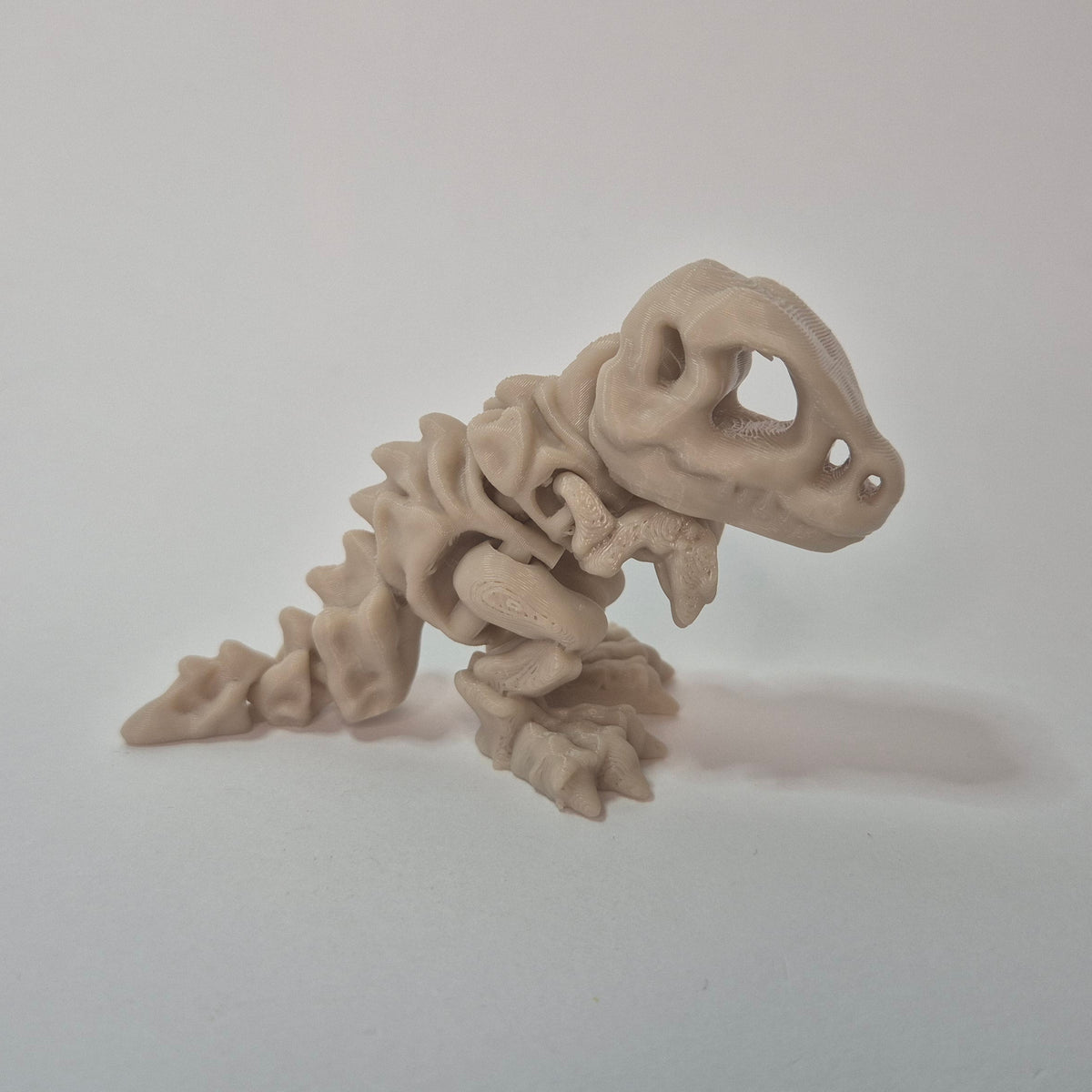 Dino T-rex Skeleton