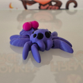 Loveheart Spider