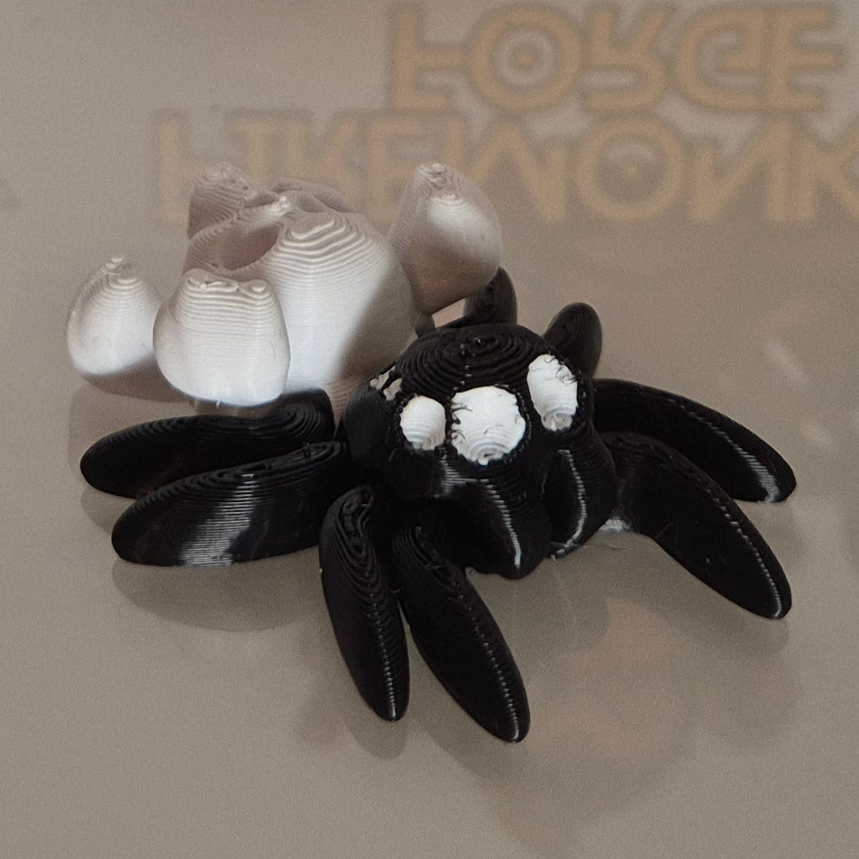 Skull & Bones Spider