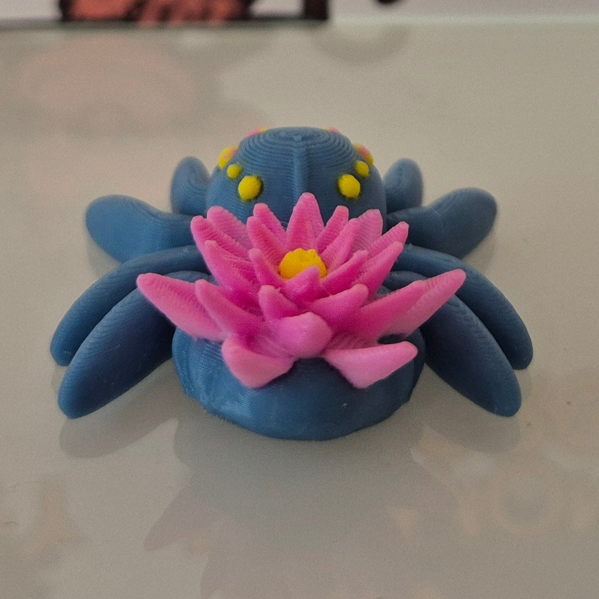 Waterlily Spider